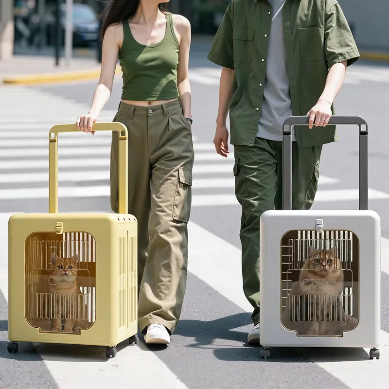 Sac de transport de luxe PP po - Luxury Bags Wholesale avis et prix
